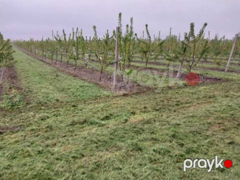 220 sot torpaq sahəsi, Xaçmaz r — Xaçmaz