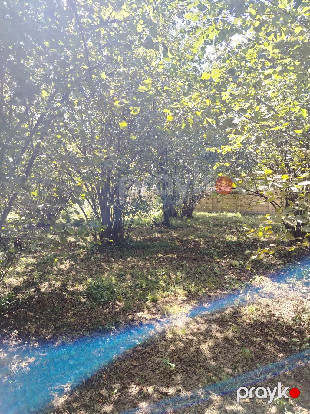 Kənd təsərrüfatı — Torpaq, Qəbələ (2)