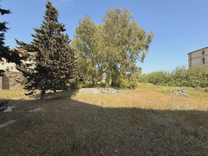 Sotiladi: участок, 40 sotix — Torpaq, Bakı (6)