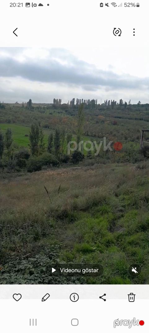 7 sot, Tikinti, Mülkiyyətçi, Kupça (Çıxarış) — Quba