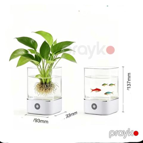 Kiçik akvarium isıqlı — Bakı