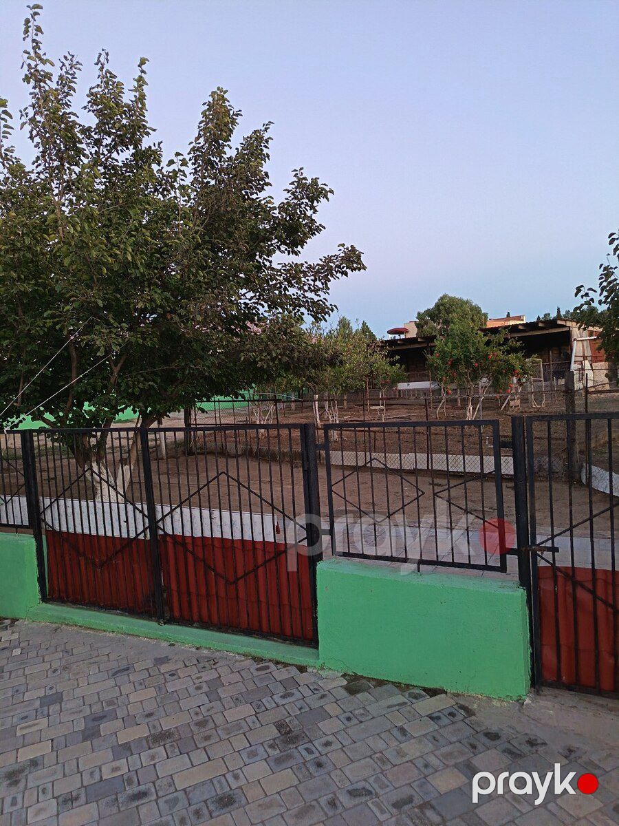 Həyət evi, Qala qəs — Ev, villa, Bakı (4)