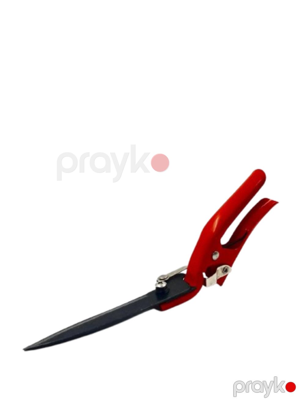 Bağban qayçısı İL - 2509, 30.5 sm — Mallar, Bakı (2)