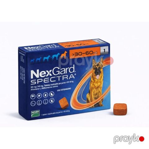 Çeynəmə həb NexGard Spectra, 30 ilə 60 kq arasında olan itlər üçün, qiymət 1 ədəd üçündür — Bakı
