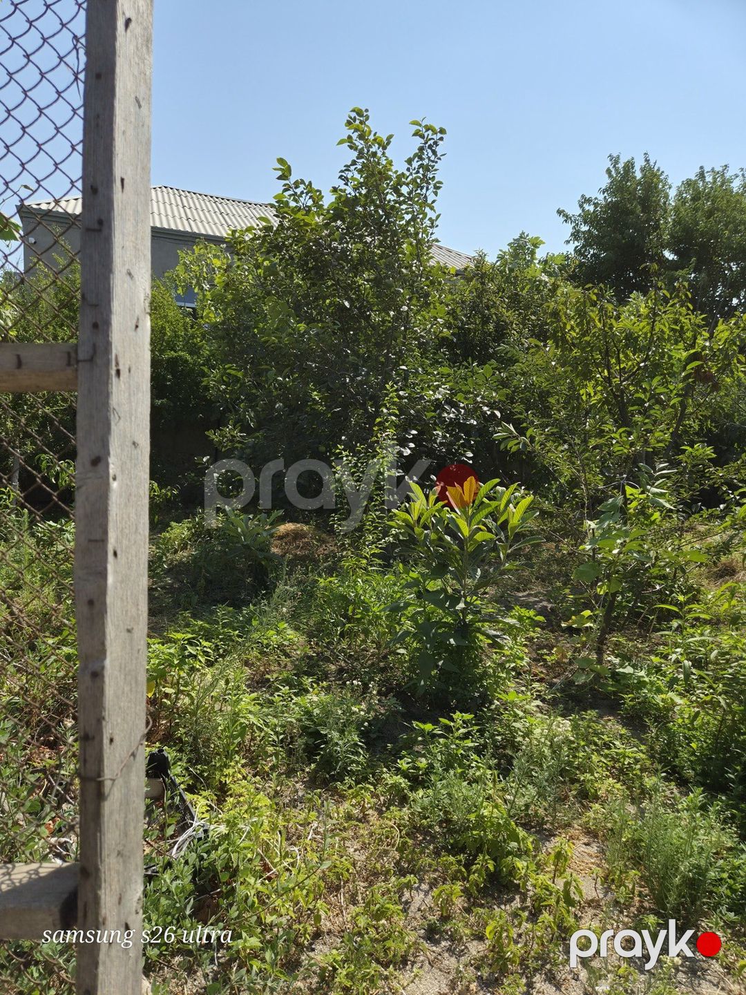Satılır torpaq 4.5 sot — Torpaq, Sumqayıt (5)