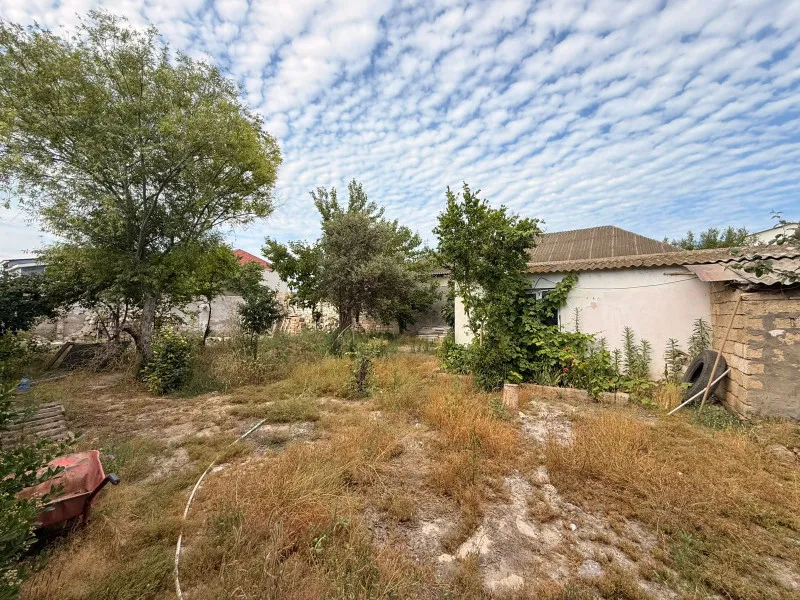 Şağan, Torpaq satılır - 10 sot — Torpaq, Bakı (2)
