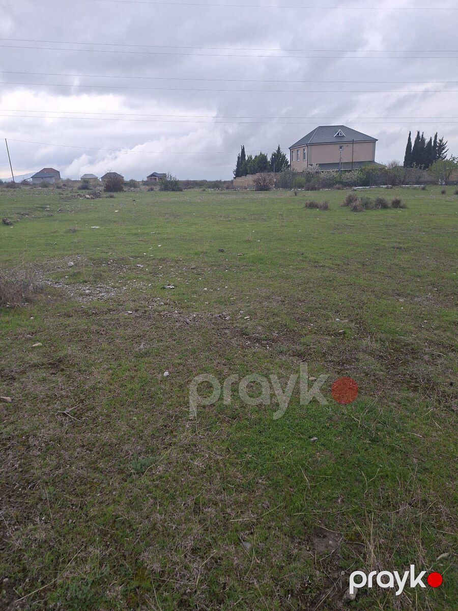 6 sot torpaq sahəsi, Şəki ş — Torpaq, Şəki (2)