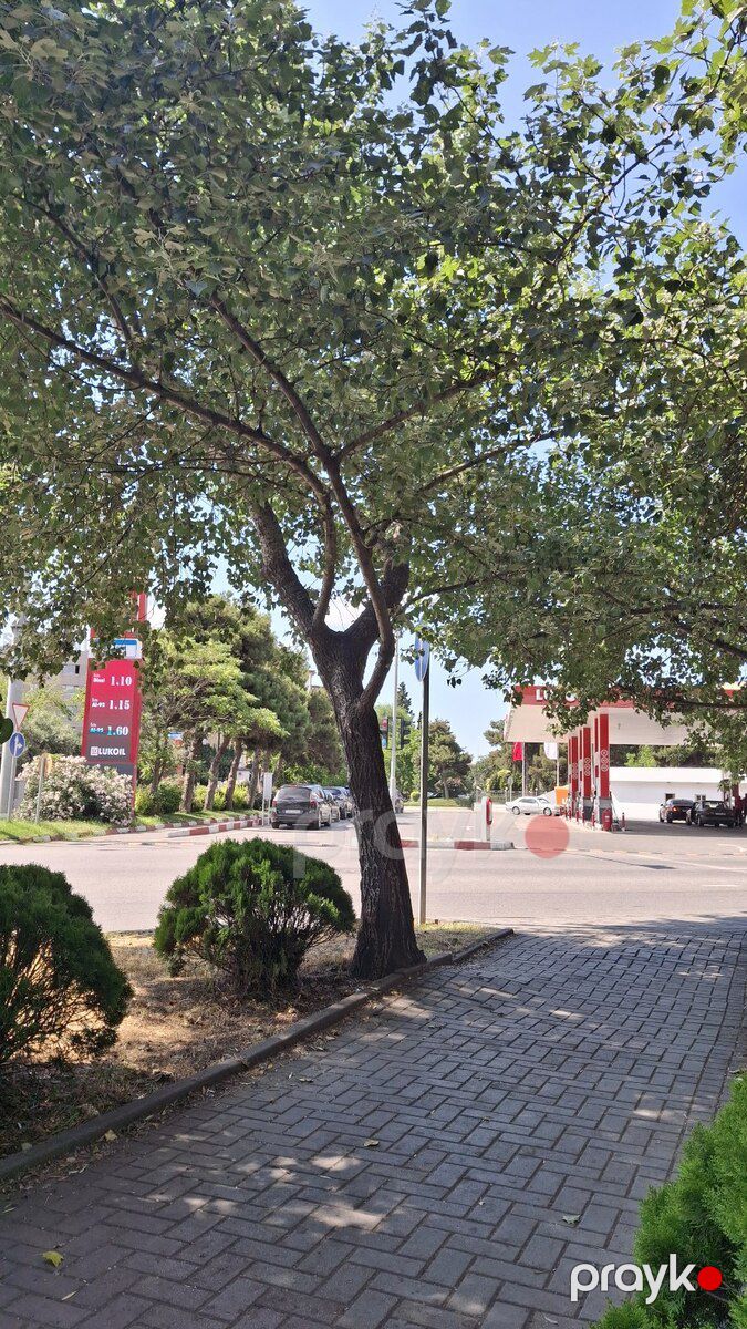 2-otaqlı mənzil, Cəfər Xəndan küç., 65 m² — Mənzil, Bakı (6)