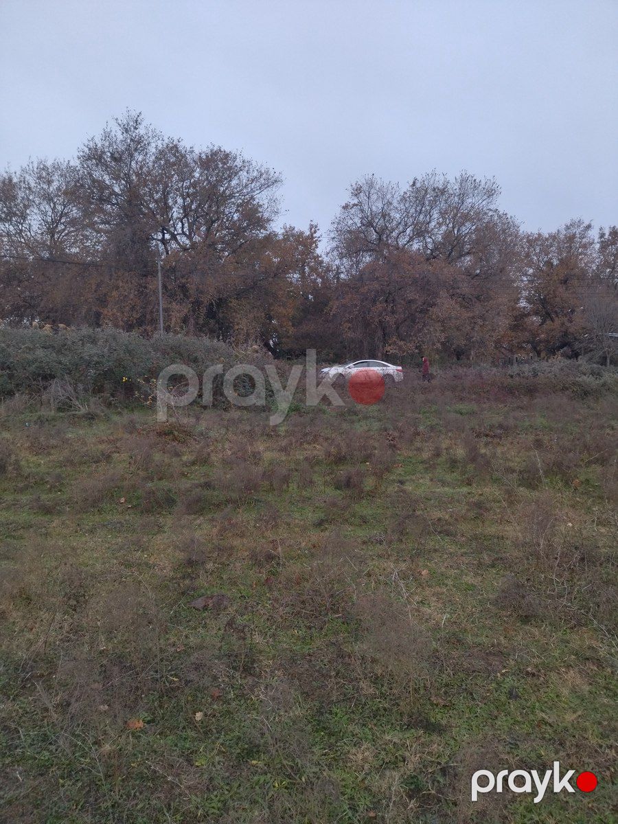 Satılır torpaq 20 sot — Torpaq, Xaçmaz (2)