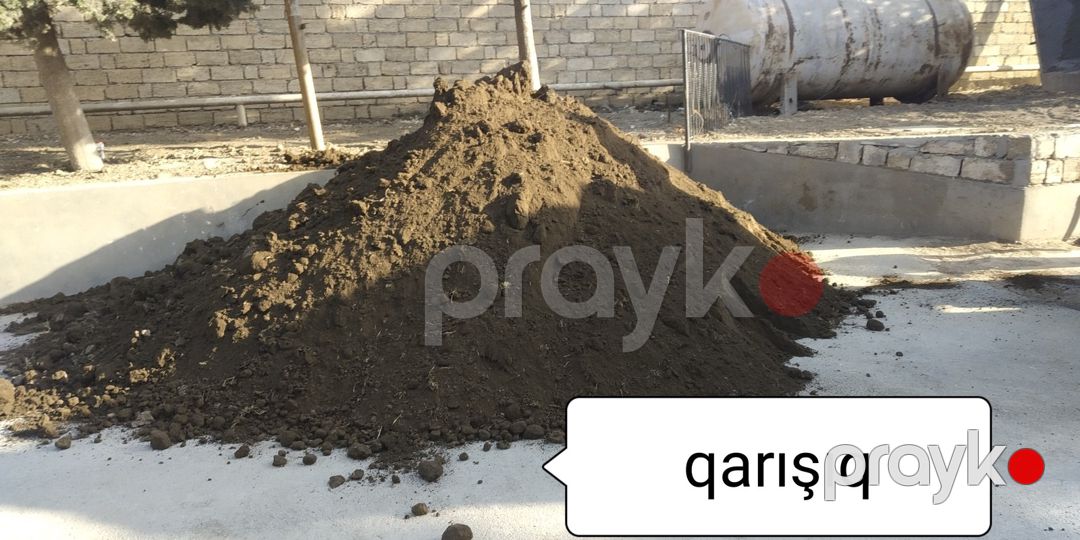 Qara torpaq və peyin — Dacha və bağ, Bakı (8)