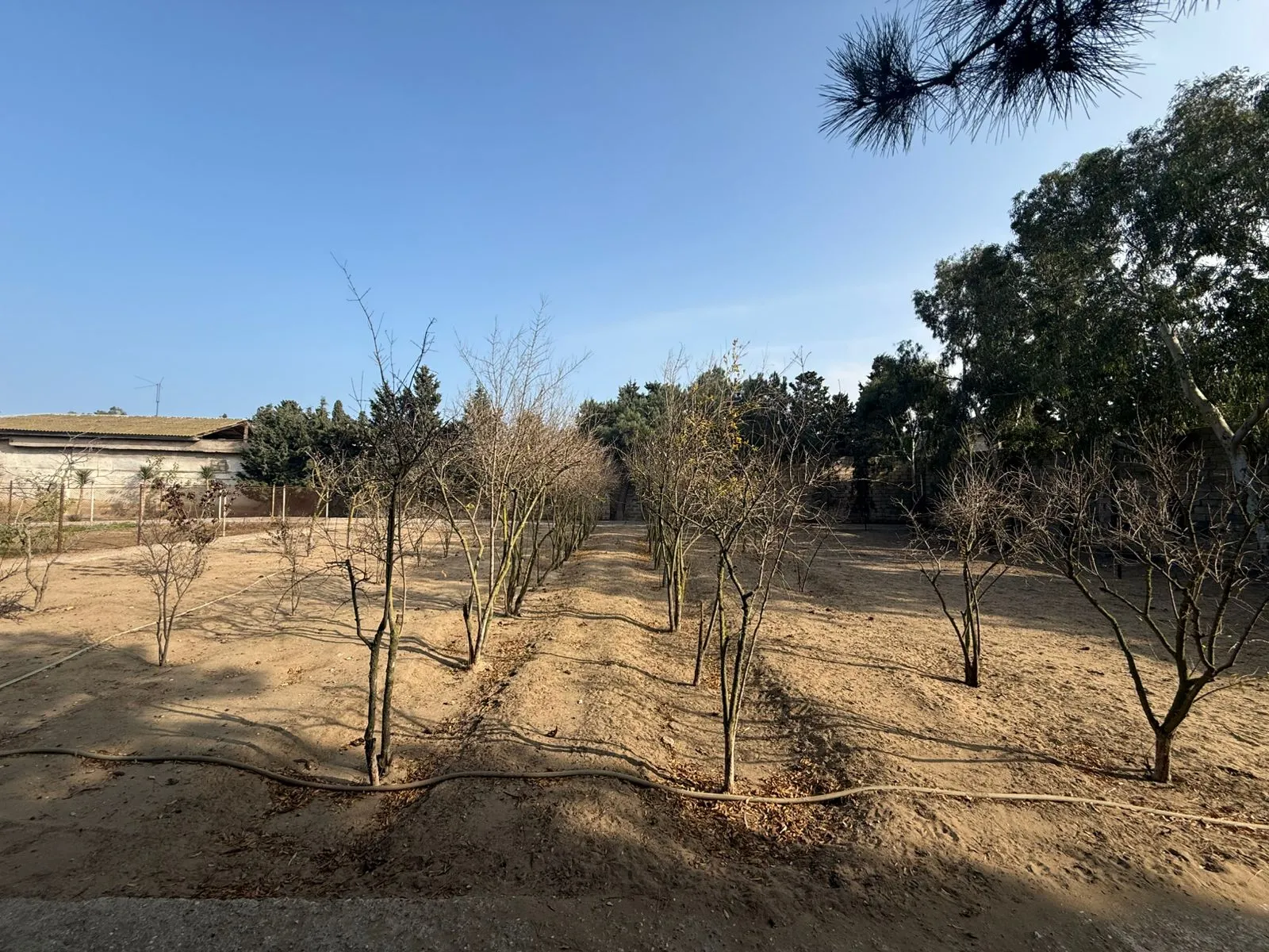 Şüvəlan, Torpaq satılır - 22 sot — Torpaq, Bakı (9)