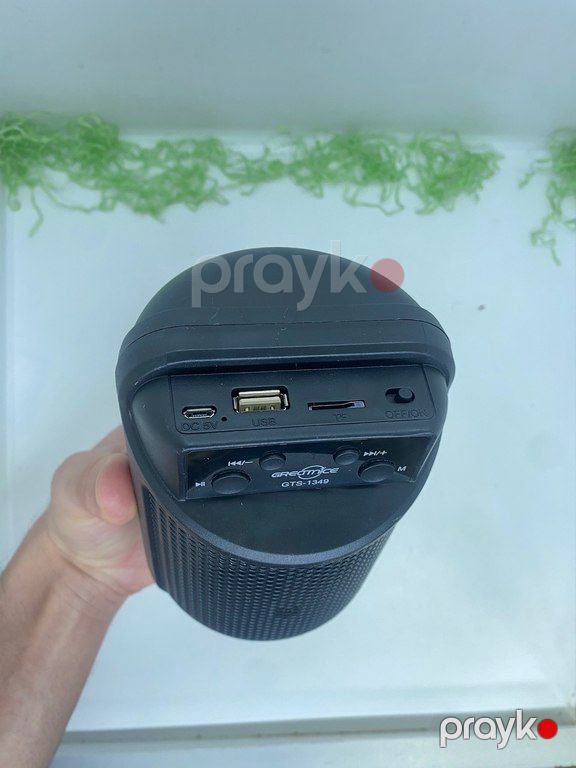 Greatnice GTS-1349 Mini dinamik — Səs texnikası, Bakı (6)