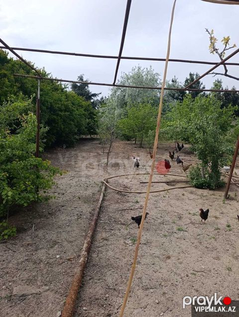 Sabunçu rayonunda Torpaq Satılır, 9 sot — Bakı