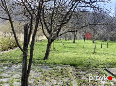Satılır torpaq 19 sot — Qax
