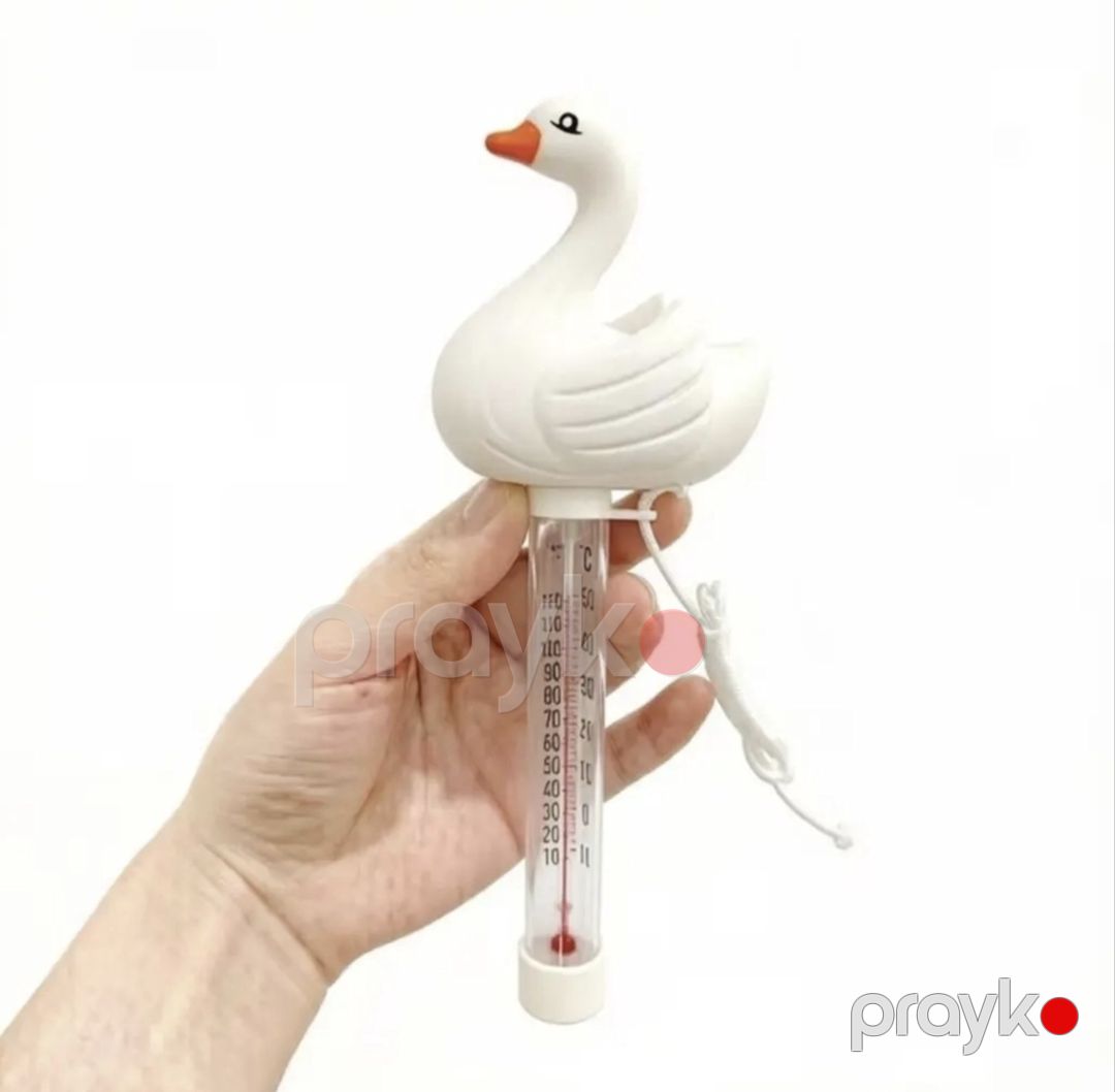 Hovuz termometri, plastik, ağ — Mallar, Bakı (3)