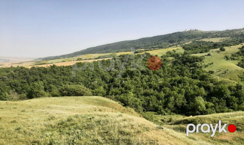 1100 sot torpaq sahəsi, Şamaxı ş — Torpaq, Şamaxı (11)