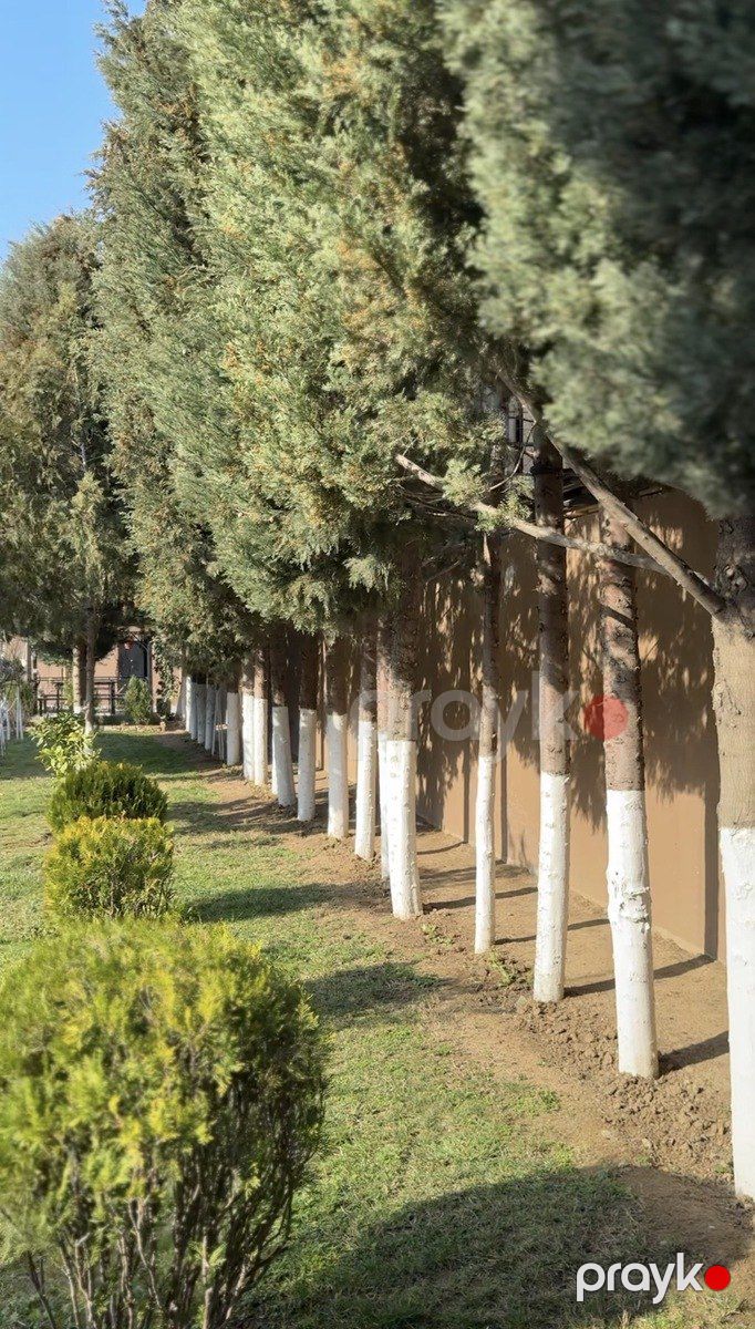 Satılır 9 otaqlı həyət evi/bağ evi 600 m² — Ev, villa, Bakı (7)