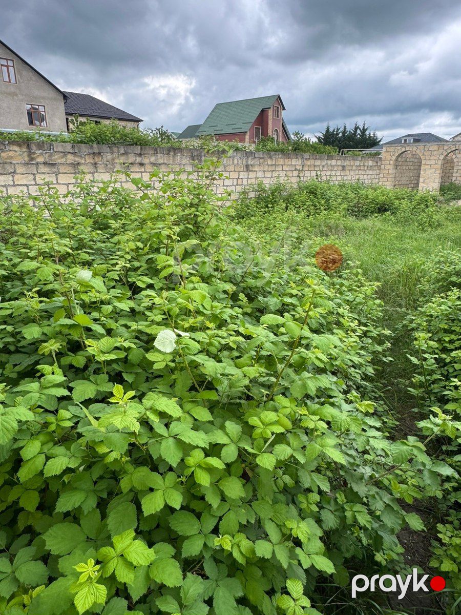 3 sot torpaq sahəsi, Cavanşir küç — Torpaq, Qusar (5)