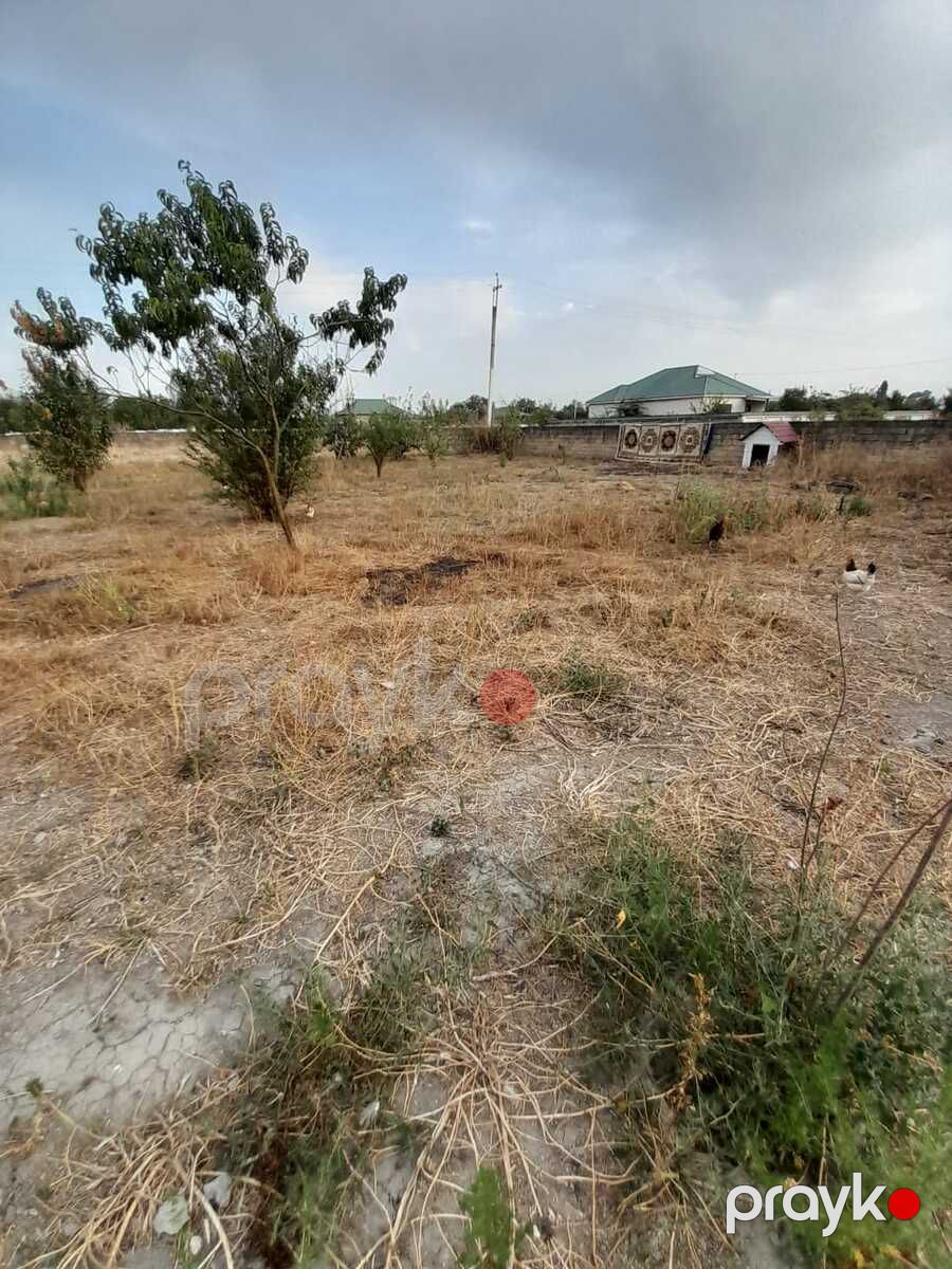 Satılır torpaq 7.5 sot — Torpaq, Qəbələ (2)