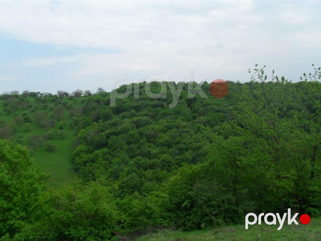 Satılır 2 otaqlı həyət evi/bağ evi 120 m² — Ev, villa, Qusar (11)