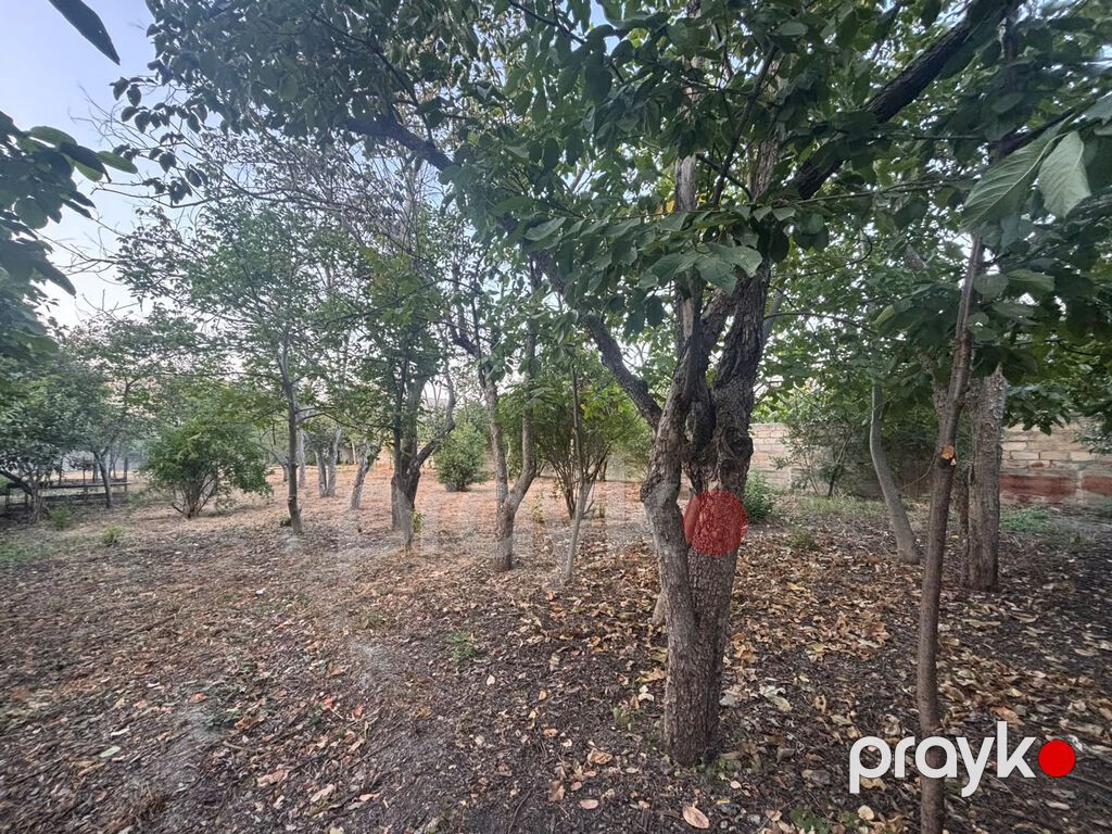 6 otaqlı, 177 kv. m, Kredit yoxdur, Orta təmir — Ev, villa, Göyçay (4)