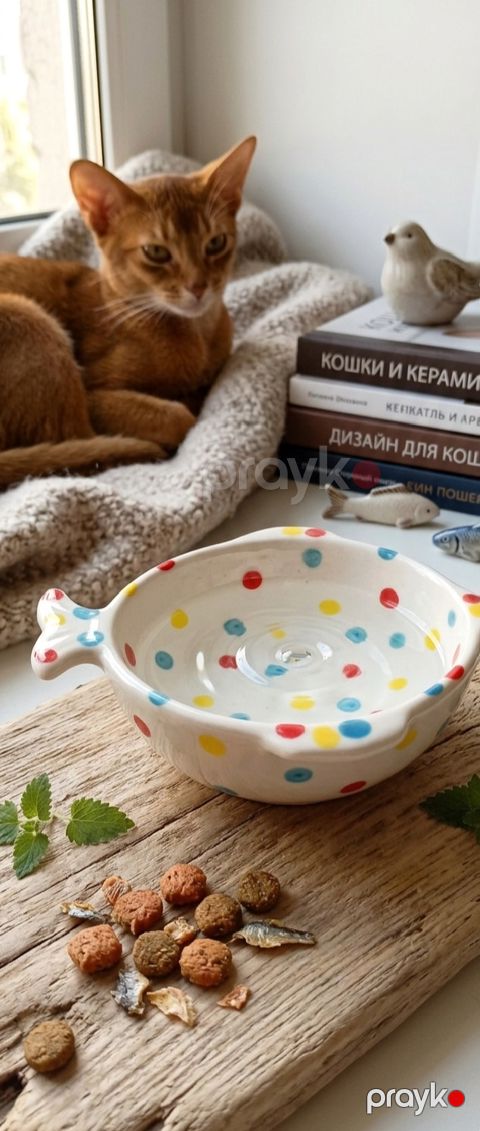 Ev heyvanları üçün keramik qab — Bakı