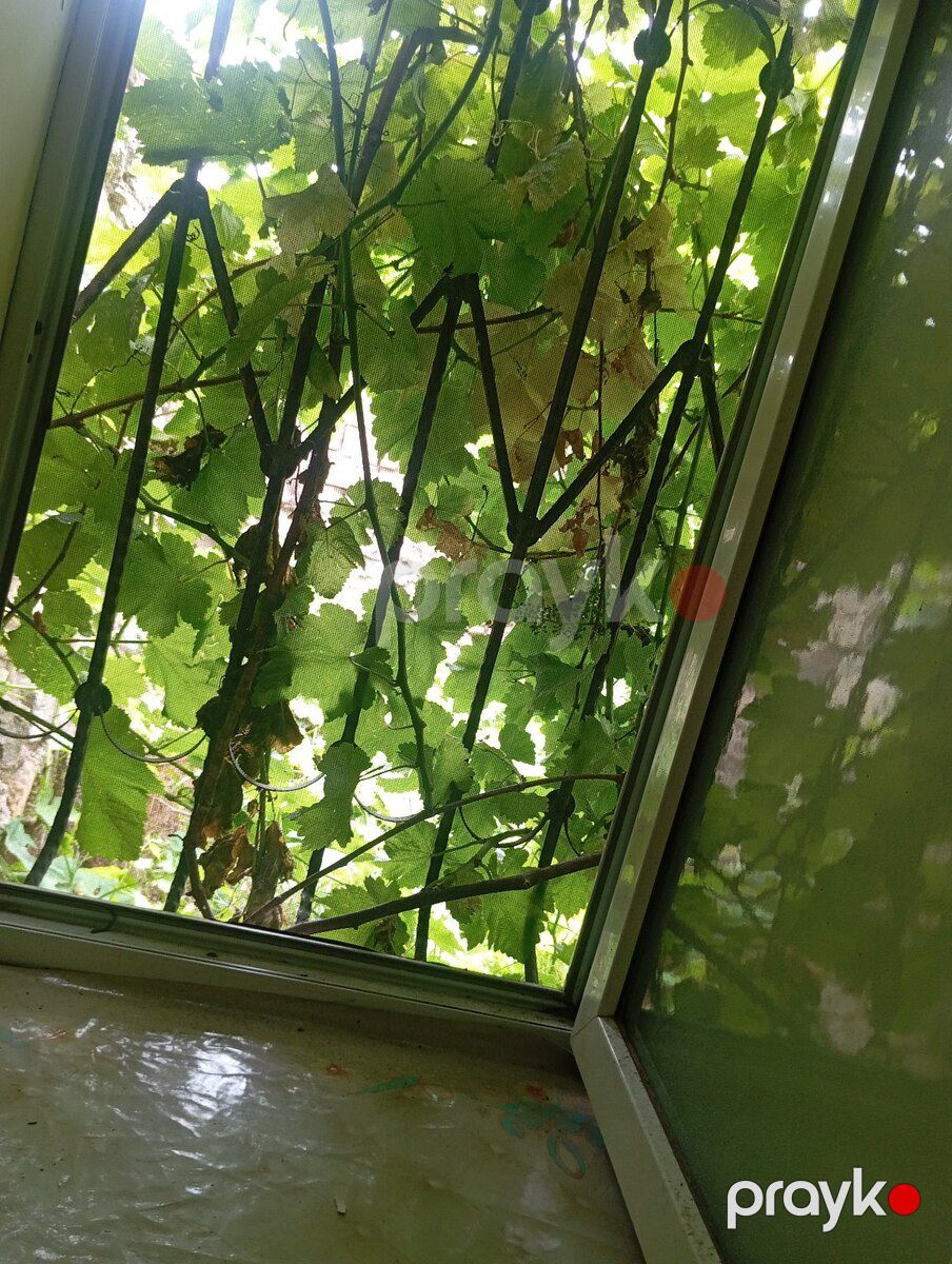 Həyət evi, Hökməli qəs — Ev, villa, Bakı (2)