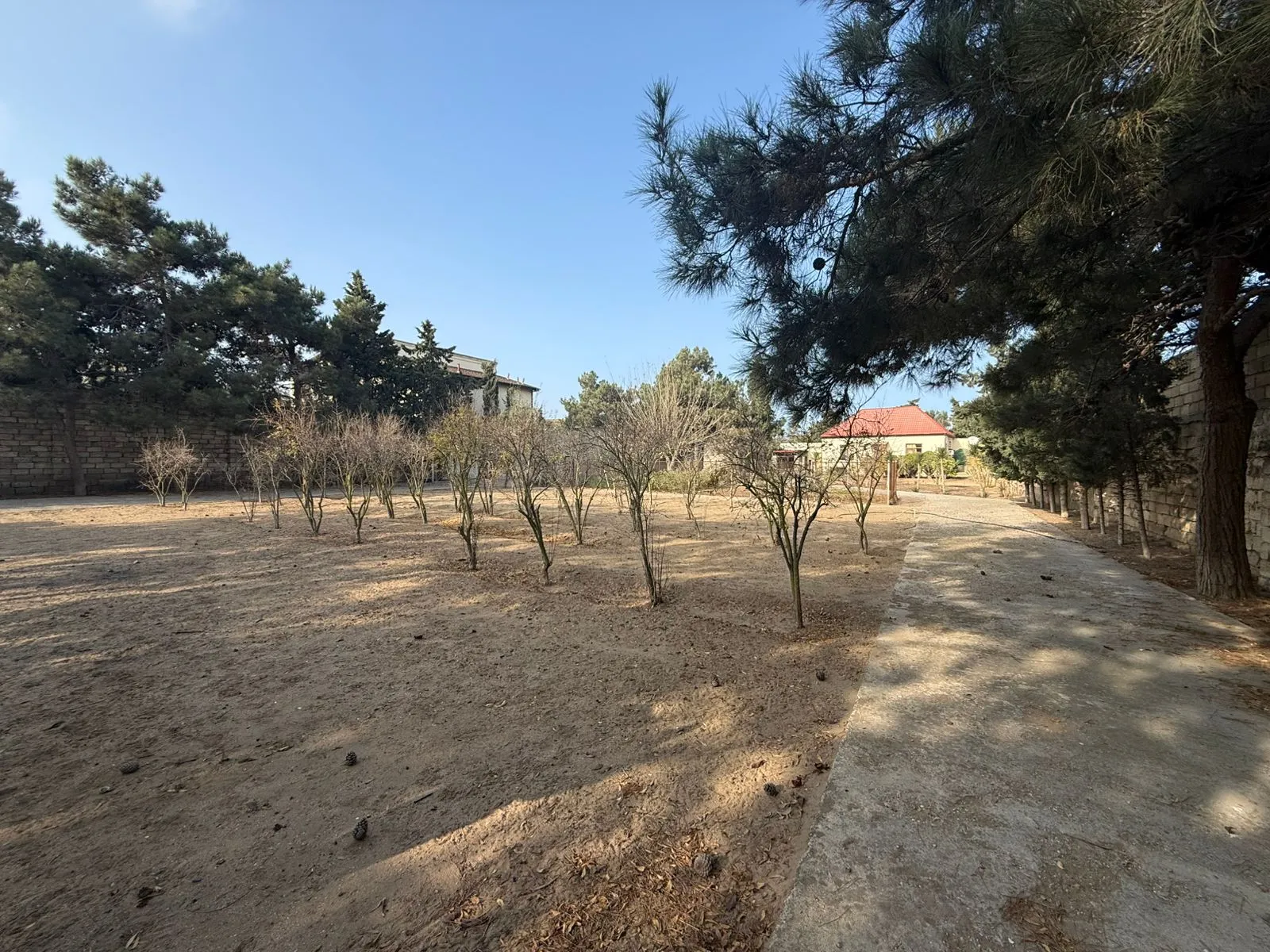 Şüvəlan, Torpaq satılır - 22 sot — Torpaq, Bakı (8)