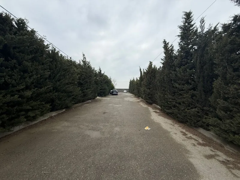 Şüvəlan, Torpaq satılır - 12.1 sot — Torpaq, Bakı (3)