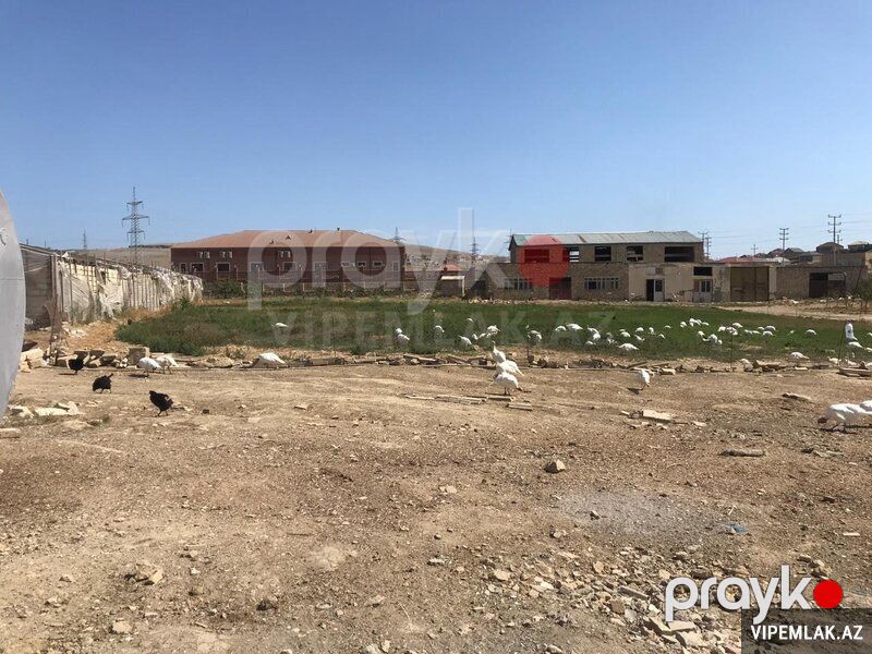 Abşeron rayonunda Torpaq Satılır, 15000 sot — Torpaq, Bakı (9)