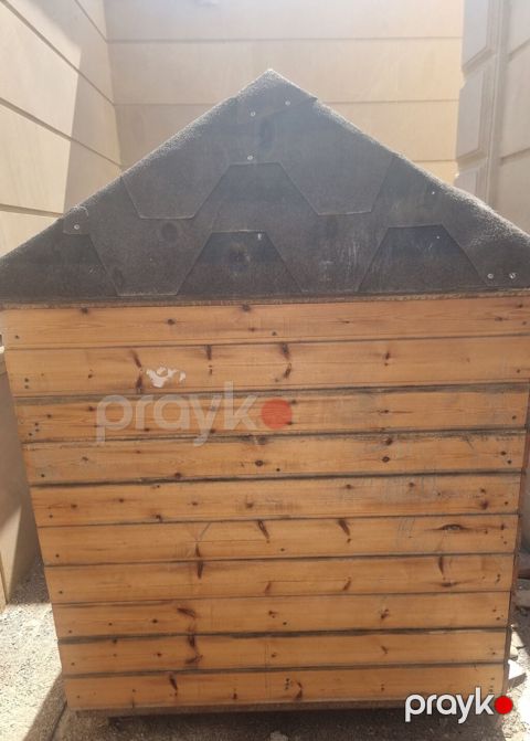 Taxta it evi - Material: təbii taxta panellər, möhkəm karkas - Dam — Bakı
