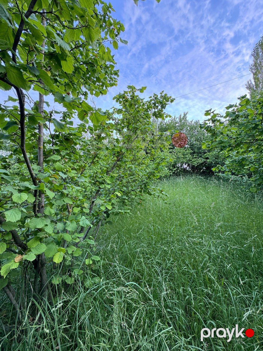 12 sot torpaq sahəsi, Qusar r — Torpaq, Qusar (6)