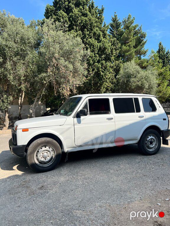 Lada (VAZ) Niva, 1.7 L, 2001 il, 510 000 km — Avtomobillər, Bakı (3)