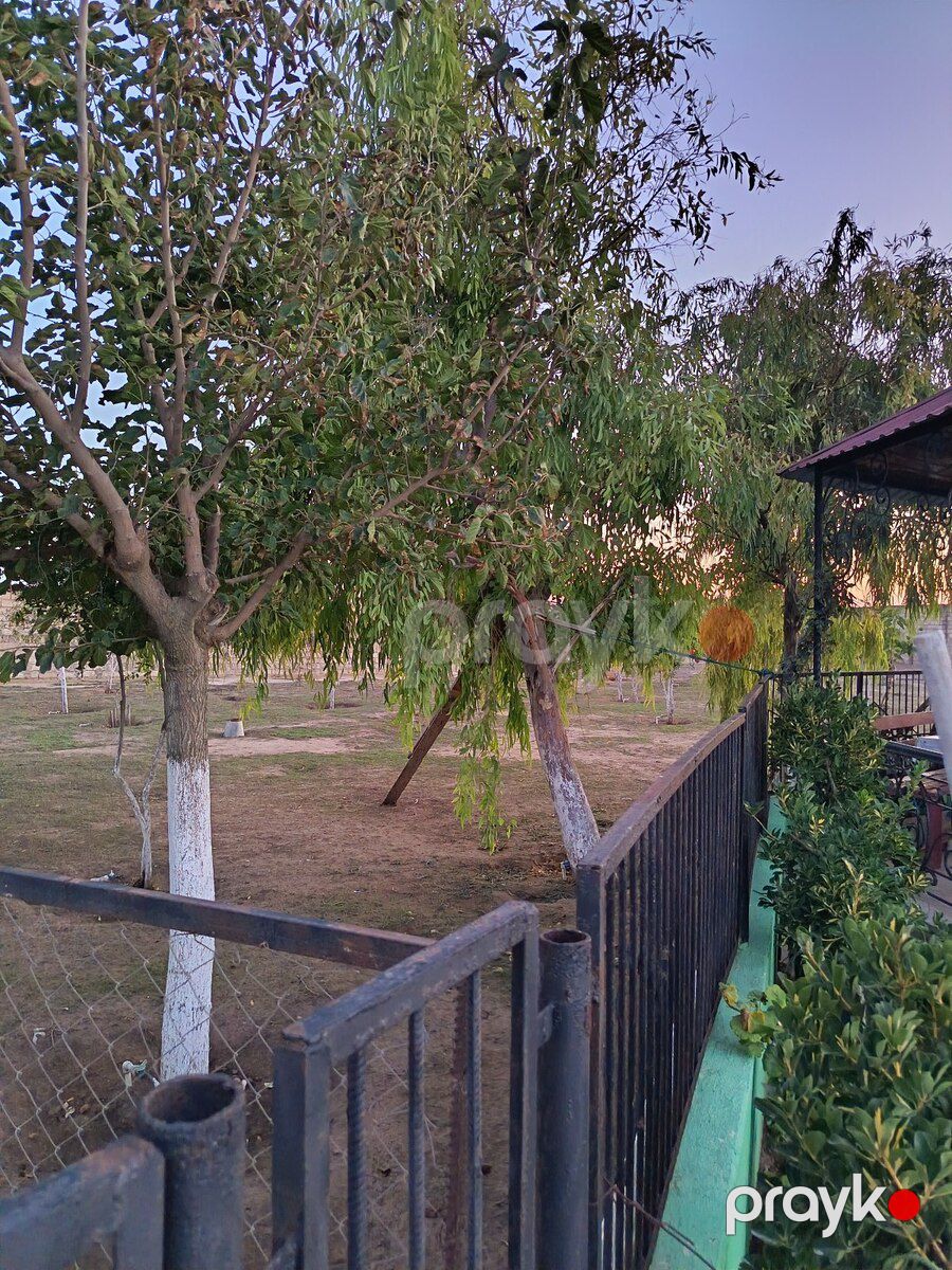 Həyət evi, Qala qəs — Ev, villa, Bakı (10)