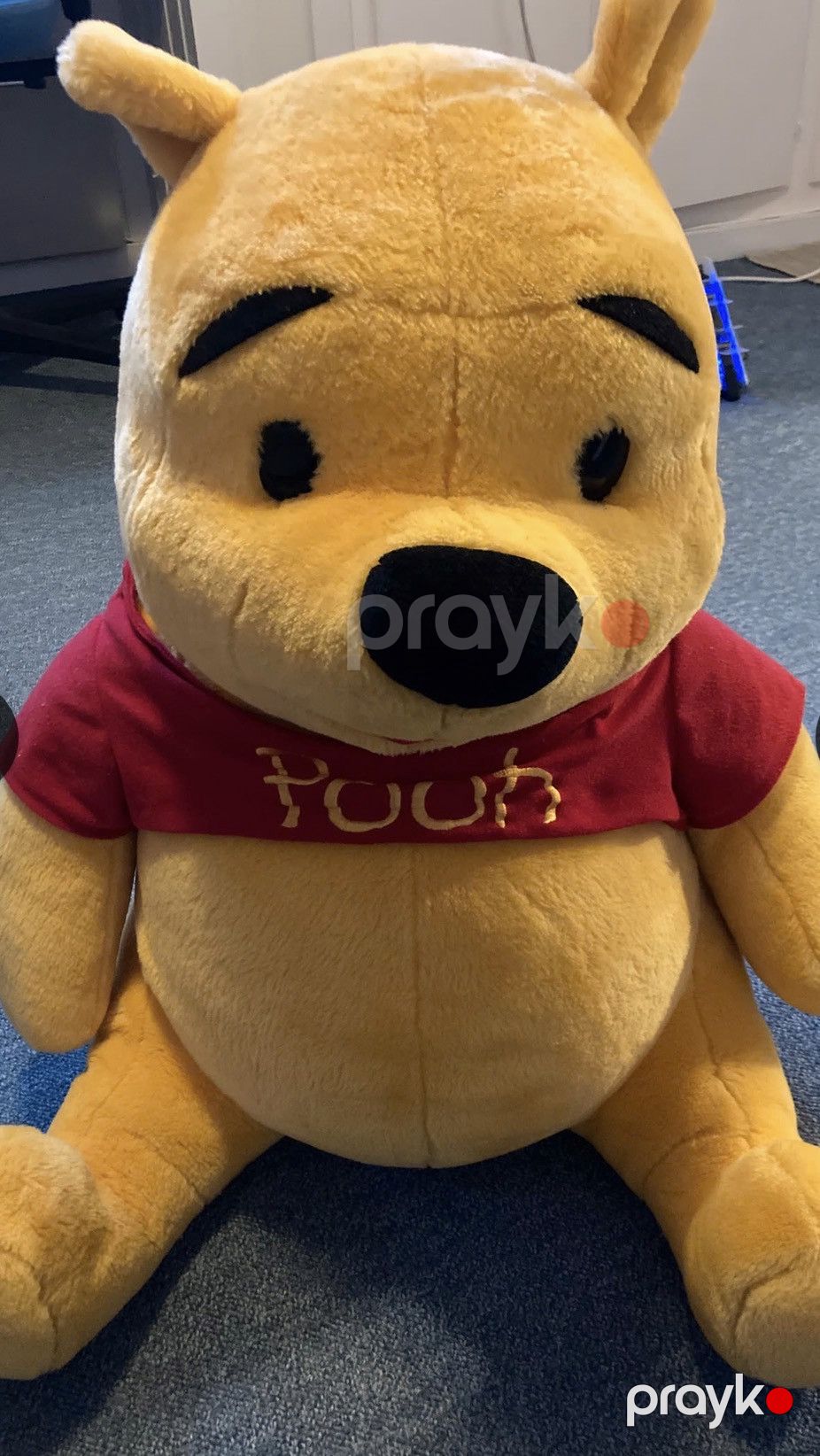 Yumşaq oyuncaq Pooh, 20 sm — Yumşaq oyuncaqlar, Bakı (2)