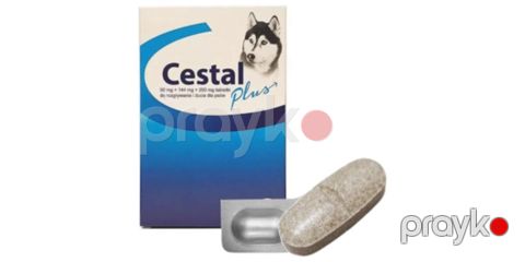 Qurd əleyhinə tabletlər Ceva Cestal, itlər, 0.5-10 kq, geniş spektr (nematodlar + sestodlar) — Bakı