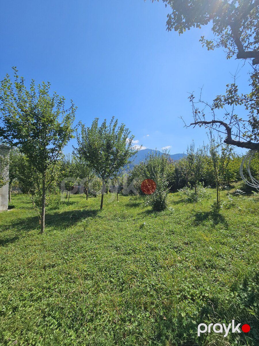 Həyət evi, İsmayıllı r — Ev, villa, İsmayıllı (9)