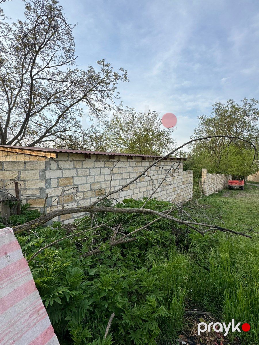 20 sot torpaq sahəsi, Qusar r — Torpaq, Qusar (2)