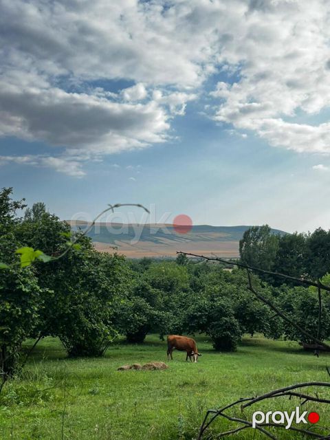 200 sot torpaq sahəsi, Yariməmmədbağı kəndi — Zərdab
