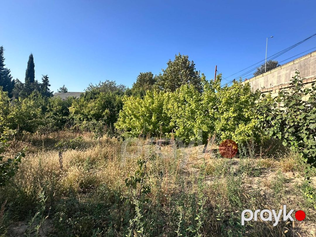 4 sot torpaq sahəsi, Novxanı bağları — Torpaq, Bakı (7)