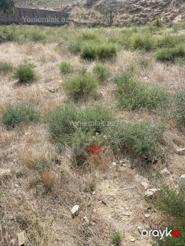Satılır Torpaq sahəsi, 12 sot, Novxanı — Torpaq, Abşeron (6)