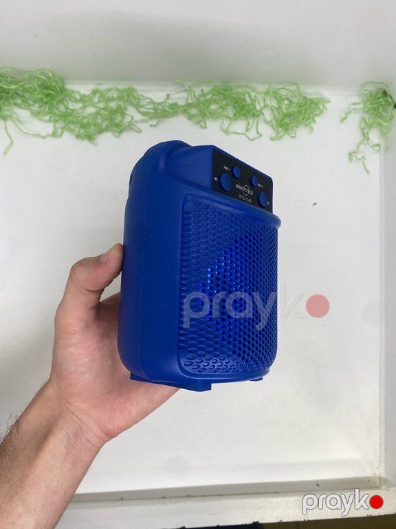 Greatnice GTS-1349 Mini dinamik — Səs texnikası, Bakı (8)