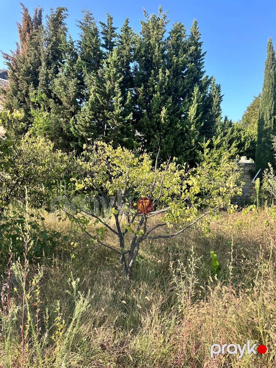 3 sot torpaq sahəsi, Novxanı qəs — Torpaq, Bakı (7)