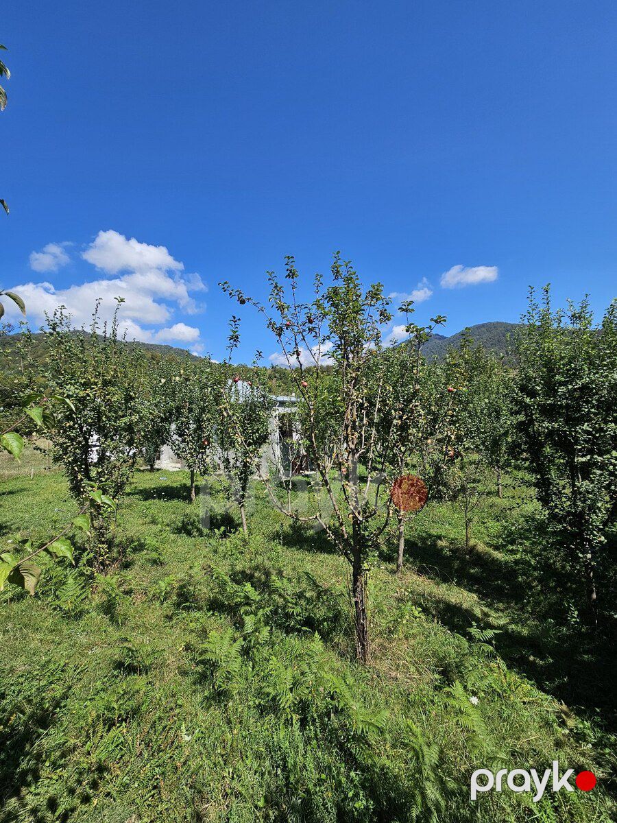 Həyət evi, İsmayıllı r — Ev, villa, İsmayıllı (3)
