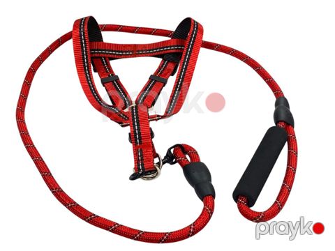 Sinə qayışı itlər üçün K-522 qırmızı, ölçü L — Bakı
