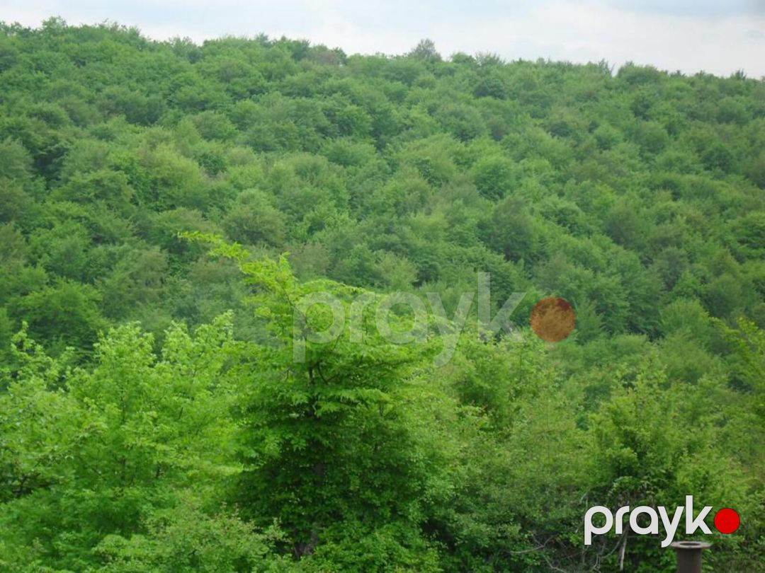 Satılır 2 otaqlı həyət evi/bağ evi 120 m² — Ev, villa, Qusar (7)