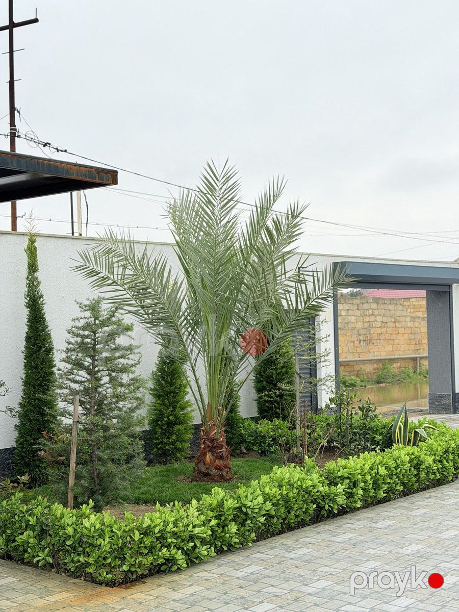İcarəyə verilir 4 otaqlı həyət evi/bağ evi 280 m² — Ev, villa, Bakı (6)