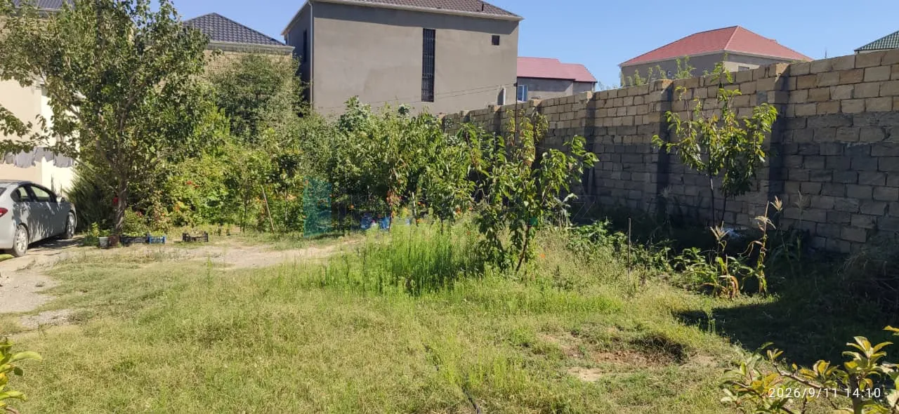 Satılır: Torpaq, Abşeron r., Masazır q., 5.00 sot — Torpaq, Masazır (2)