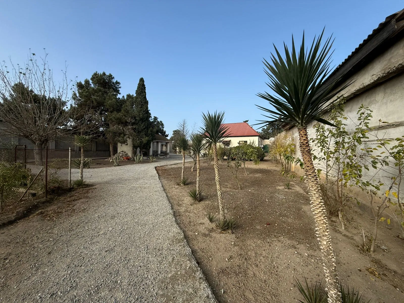 Şüvəlan, Torpaq satılır - 22 sot — Torpaq, Bakı (4)