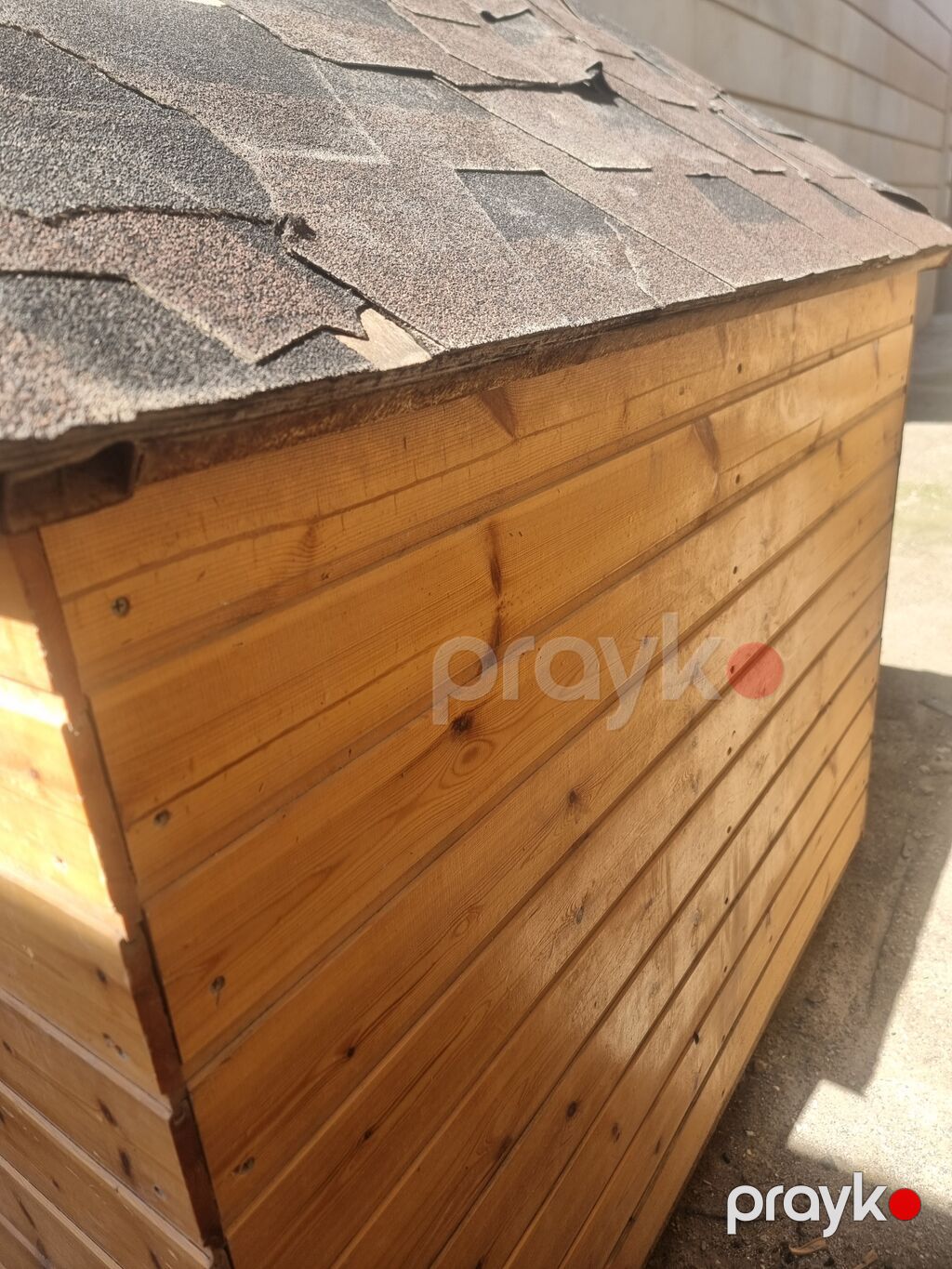 Taxta it evi - Material: təbii taxta panellər, möhkəm karkas - Dam — Kunalar, Bakı (3)